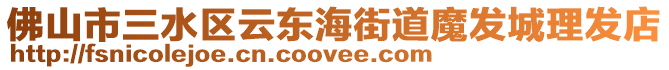 佛山市三水區(qū)云東海街道魔發(fā)城理發(fā)店