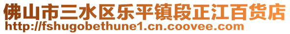 佛山市三水區(qū)樂平鎮(zhèn)段正江百貨店