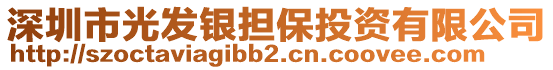 深圳市光發(fā)銀擔(dān)保投資有限公司