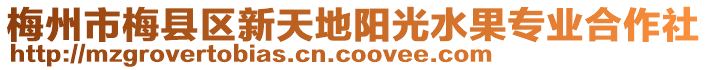 梅州市梅縣區新天地陽光水果專業合作社