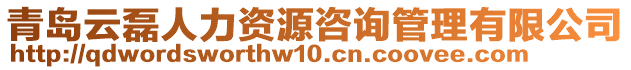 青島云磊人力資源咨詢管理有限公司