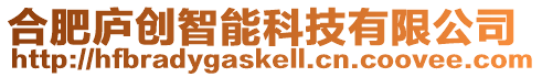 合肥廬創智能科技有限公司