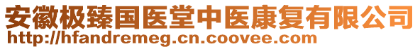 安徽極臻國(guó)醫(yī)堂中醫(yī)康復(fù)有限公司