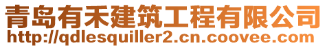 青島有禾建筑工程有限公司