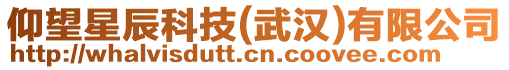 仰望星辰科技(武漢)有限公司