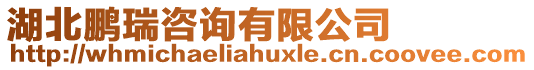 湖北鵬瑞咨詢有限公司