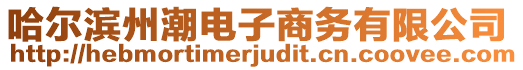 哈爾濱州潮電子商務(wù)有限公司