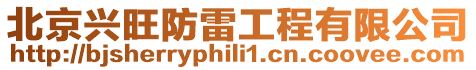 北京興旺防雷工程有限公司