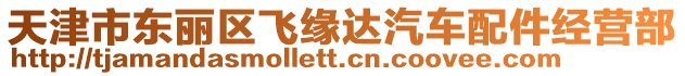 天津市東麗區飛緣達汽車配件經營部