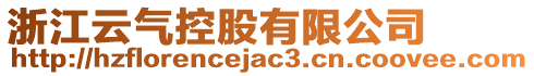 浙江云氣控股有限公司
