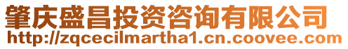 肇慶盛昌投資咨詢有限公司