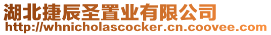 湖北捷辰圣置業(yè)有限公司