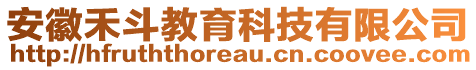 安徽禾斗教育科技有限公司