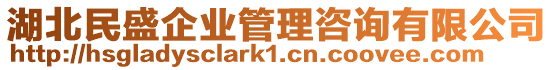 湖北民盛企業管理咨詢有限公司