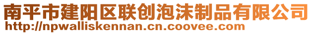 南平市建陽區(qū)聯(lián)創(chuàng)泡沫制品有限公司