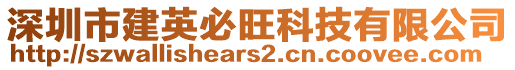 深圳市建英必旺科技有限公司