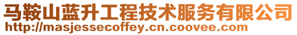 馬鞍山藍(lán)升工程技術(shù)服務(wù)有限公司