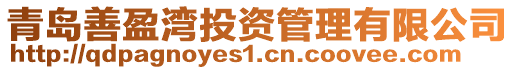 青島善盈灣投資管理有限公司