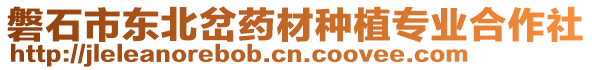 磐石市東北岔藥材種植專業(yè)合作社