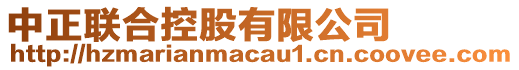 中正聯(lián)合控股有限公司