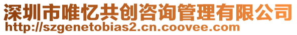 深圳市唯憶共創(chuàng)咨詢管理有限公司