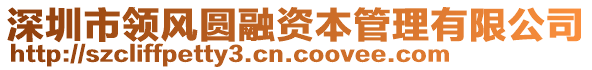 深圳市領風圓融資本管理有限公司