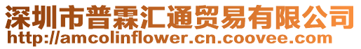 深圳市普霖匯通貿易有限公司