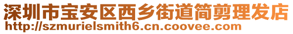 深圳市寶安區(qū)西鄉(xiāng)街道簡(jiǎn)剪理發(fā)店