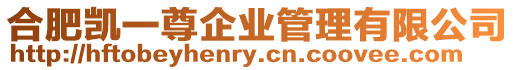 合肥凱一尊企業管理有限公司