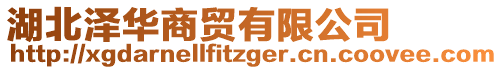 湖北澤華商貿有限公司