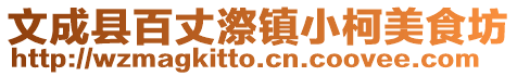 文成縣百丈漈鎮小柯美食坊