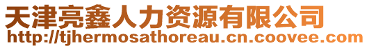 天津亮鑫人力資源有限公司