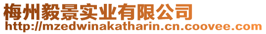 梅州毅景實業有限公司