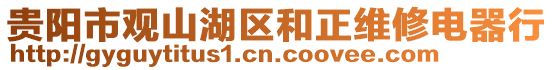 貴陽市觀山湖區(qū)和正維修電器行