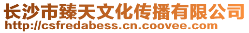 長沙市臻天文化傳播有限公司