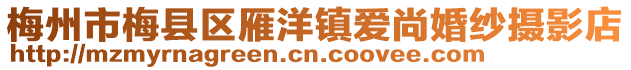 梅州市梅縣區(qū)雁洋鎮(zhèn)愛尚婚紗攝影店