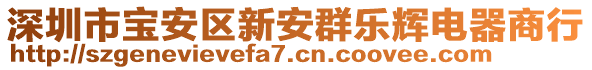 深圳市寶安區(qū)新安群樂(lè)輝電器商行