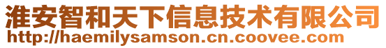 淮安智和天下信息技術有限公司