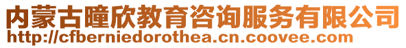 內蒙古曈欣教育咨詢服務有限公司