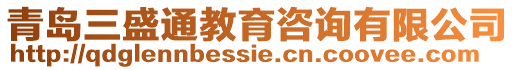 青島三盛通教育咨詢有限公司
