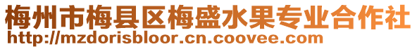 梅州市梅縣區(qū)梅盛水果專業(yè)合作社