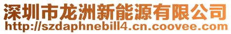 深圳市龍洲新能源有限公司