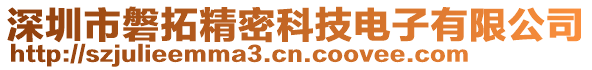 深圳市磐拓精密科技電子有限公司