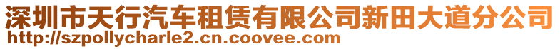 深圳市天行汽車租賃有限公司新田大道分公司