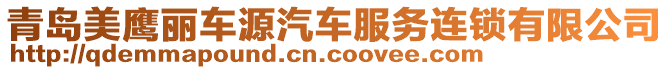 青岛美鹰丽车源汽车服务连锁有限公司