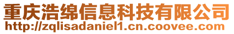 重慶浩綿信息科技有限公司