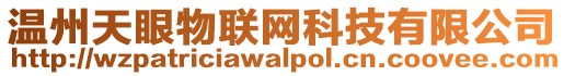 溫州天眼物聯網科技有限公司