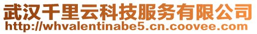 武漢千里云科技服務有限公司