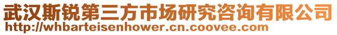 武漢斯銳第三方市場研究咨詢有限公司