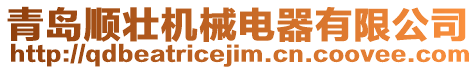 青島順壯機(jī)械電器有限公司